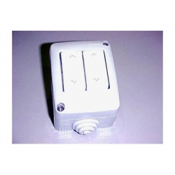 Pulsador Tipo E Doble 2 Motor 1039