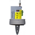 Receptor RWALLY4 Receptor RWALLY4